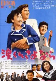 Goodbye Mr. Tears movie poster