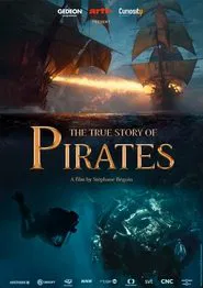 The True Story of Pirates movie poster