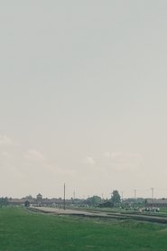 La Visite movie poster