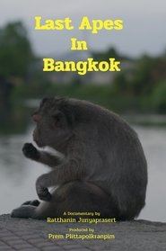 Last Apes In Bangkok movie poster