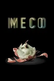 Poster da série Flesh