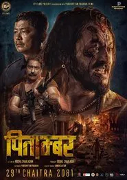 Pitambar movie poster