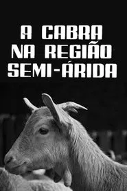 A Cabra na Região Semi-Árida movie poster
