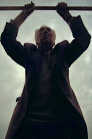 Many summers. Stable movie poster