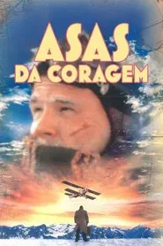 Poster do filme Asas da Coragem