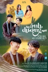 You Are My Stupid Boy tv show poster