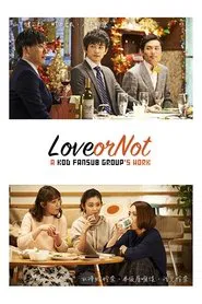 Love or Not tv show poster