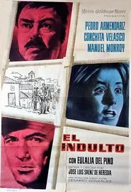 El indulto movie poster