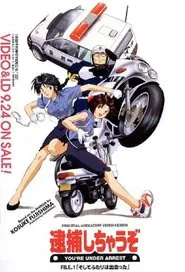 You're Under Arrest tv show poster