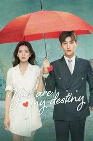 You Are My Destiny tv show poster