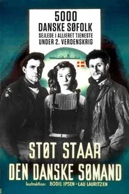 The Viking Watch of the Danish Seaman movie poster