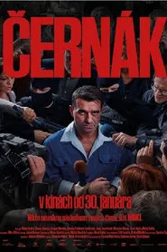 Poster do filme ČERNÁK