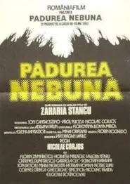 Poster do filme Mad Forest
