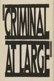 A Criminal at Large movie poster