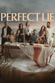 The Perfect Lie tv show poster