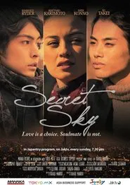Secret Sky tv show poster