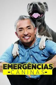 Poster da série César Millan ao Regaste