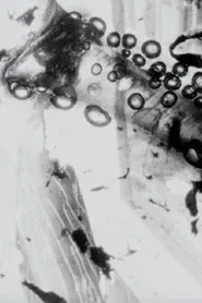 Keratin Reserve movie poster