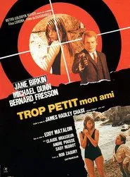 Too Small My Friend movie poster