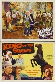 Poster do filme King of the Stallions