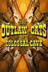 Poster do filme The Outlaw Cats of Colossal Cave