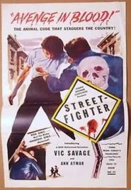 Street Fighter movie poster