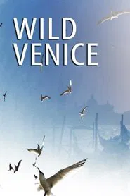 Wild Venice movie poster