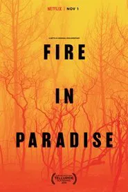 Fire in Paradise movie poster