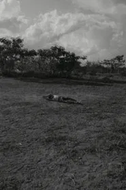 This Is Not the End movie poster