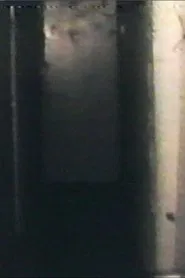 Audio and Visual Experiment 8 movie poster