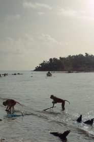 Cayo Santiago movie poster