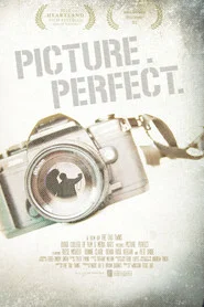 Picture. Perfect. movie poster