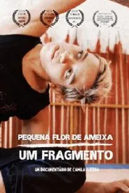 Pequena flor de ameixa: um fragmento movie poster