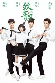 So Young tv show poster