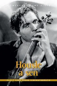 Poster do filme Housle a sen