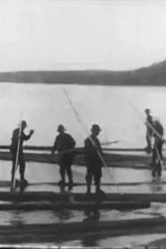 Logging in Maine movie poster