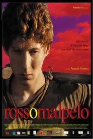 Poster do filme Rosso Malpelo