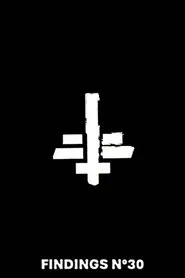 Findings Nº30 movie poster