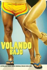 Poster do filme Flying low