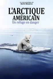 Arctic movie poster