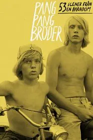 Twin Brothers: 53 Scenes in Chronological Order movie poster