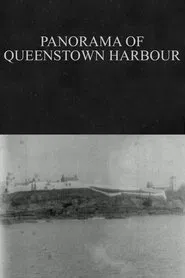 Poster do filme Panorama of Queenstown Harbour