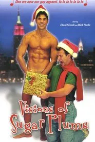 Visions of Sugarplums movie poster