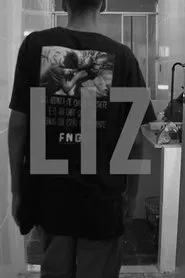 LIZ movie poster
