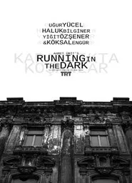 Running in the Dark tv show poster