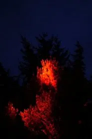 I'll Remember You as You Were, Not as What You'll Become movie poster