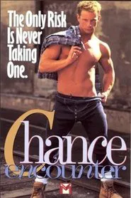 Poster do filme Chance Encounter