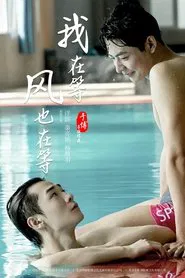 我在等，风也在等 movie poster