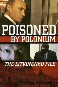 Poster do filme Rebellion: The Litvinenko Case
