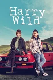 Harry Wild tv show poster